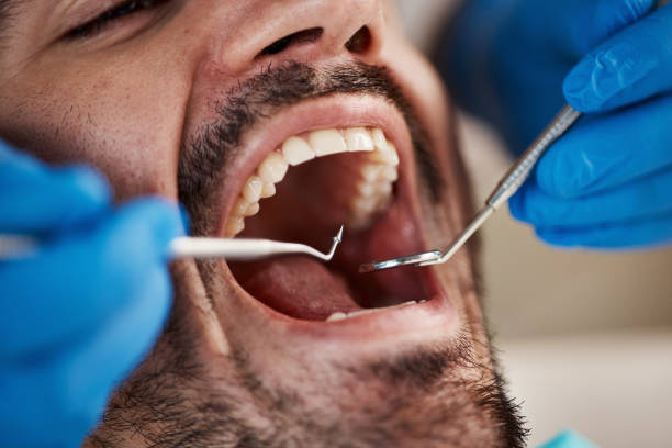 Best 24-Hour Emergency Dental Care in Cypress Quarters, FL